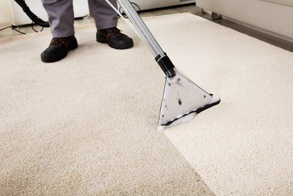 Albany Carpet Cleaning Experts's Photo