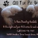 All Fur Pet Grooming LLC