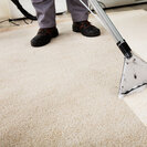 Albany Carpet Cleaning Experts