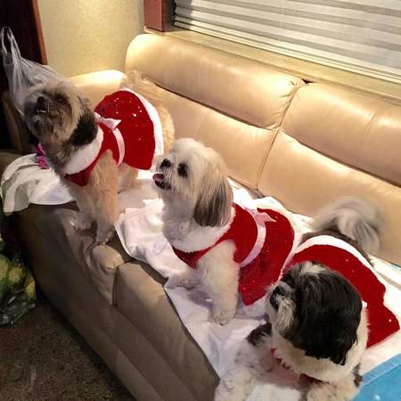 Kelly's Kritter Sitters's Photo