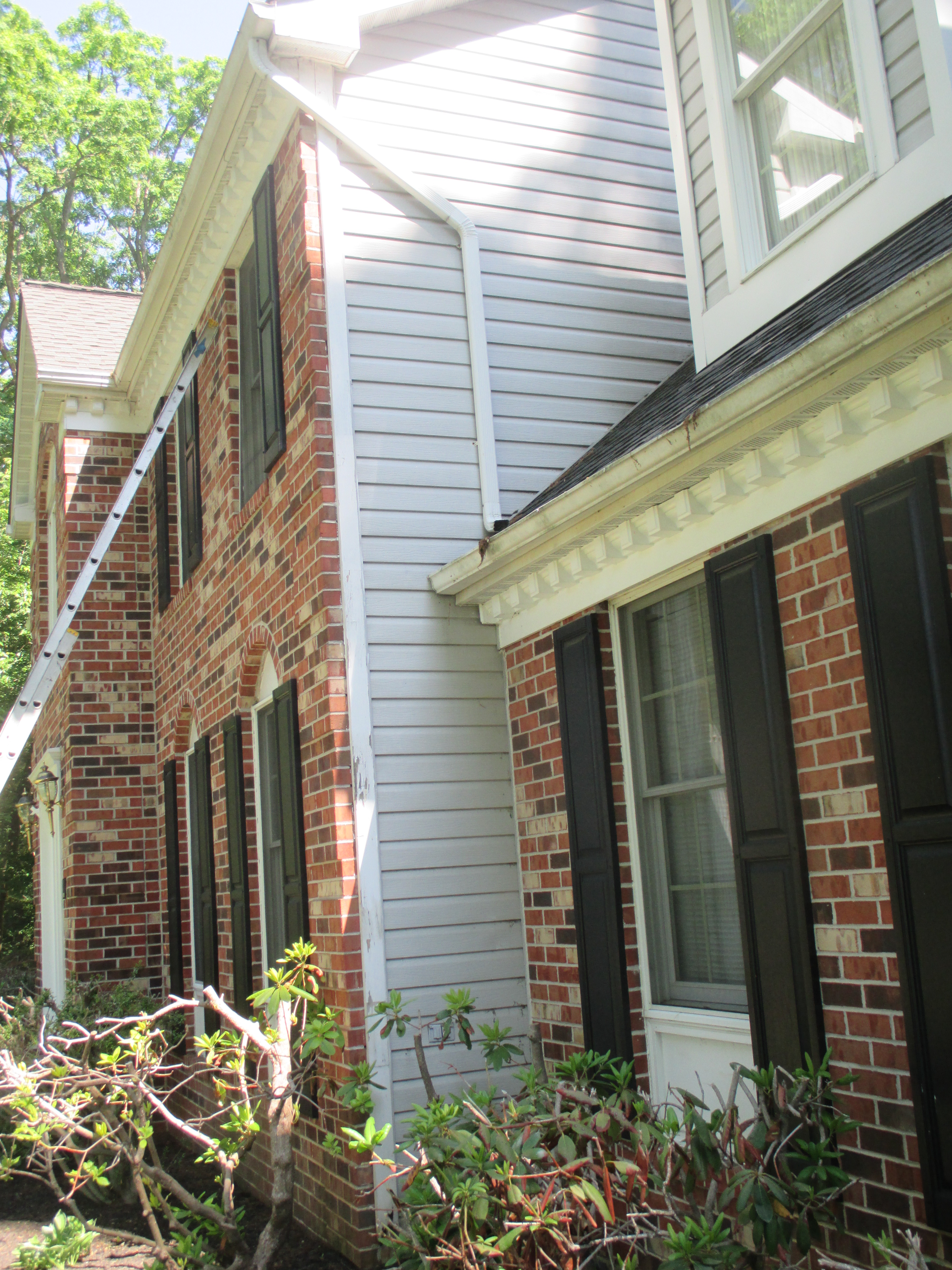 L&M Professional Houses Cleaning's Photo