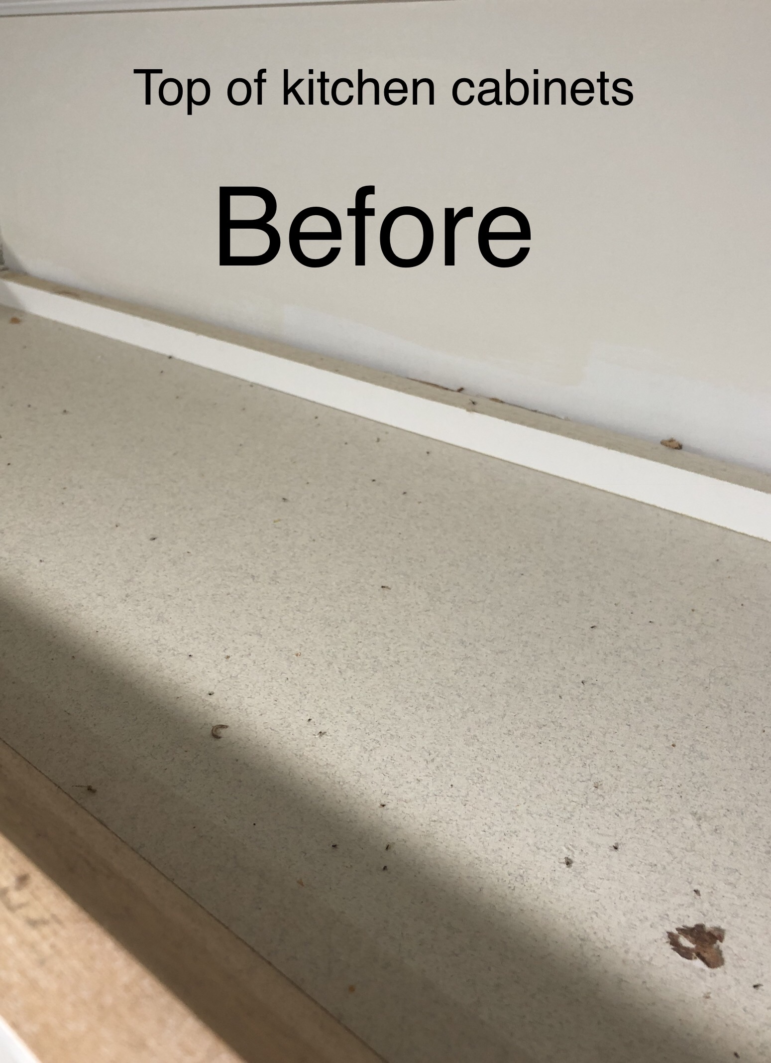 Ivy Glove Cleaning Services's Photo