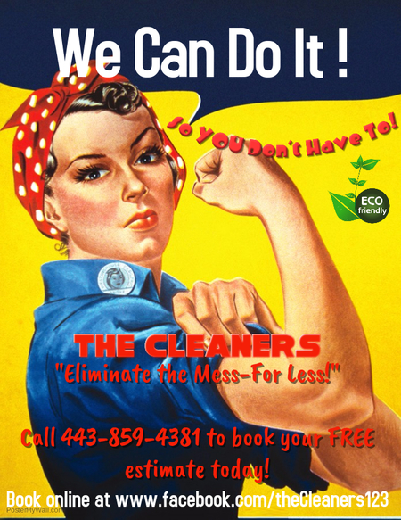The Cleaners
