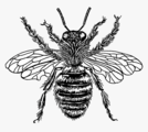 Honey Bee Home Care LLC's Photo
