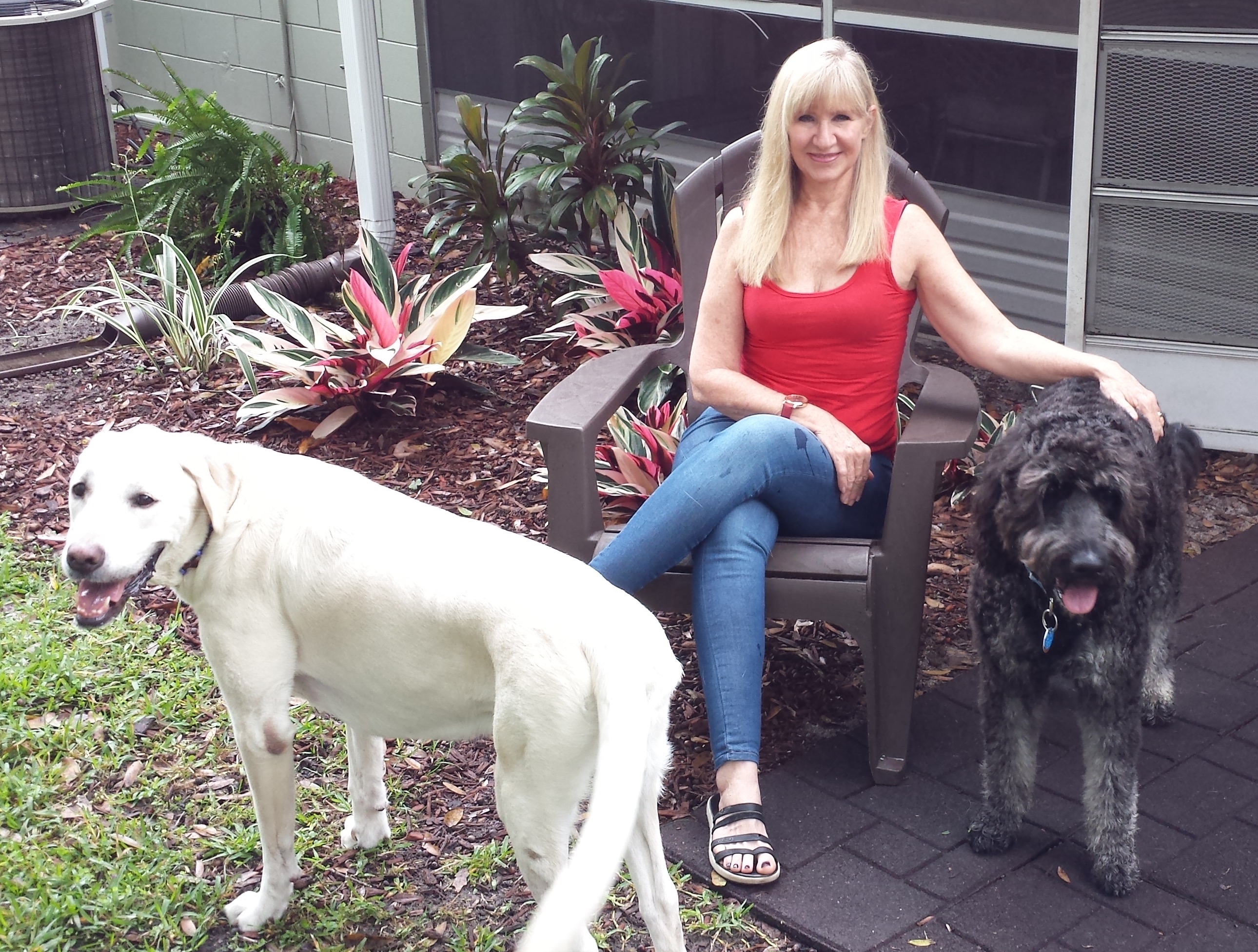 Janice's Pet Connection's Photo