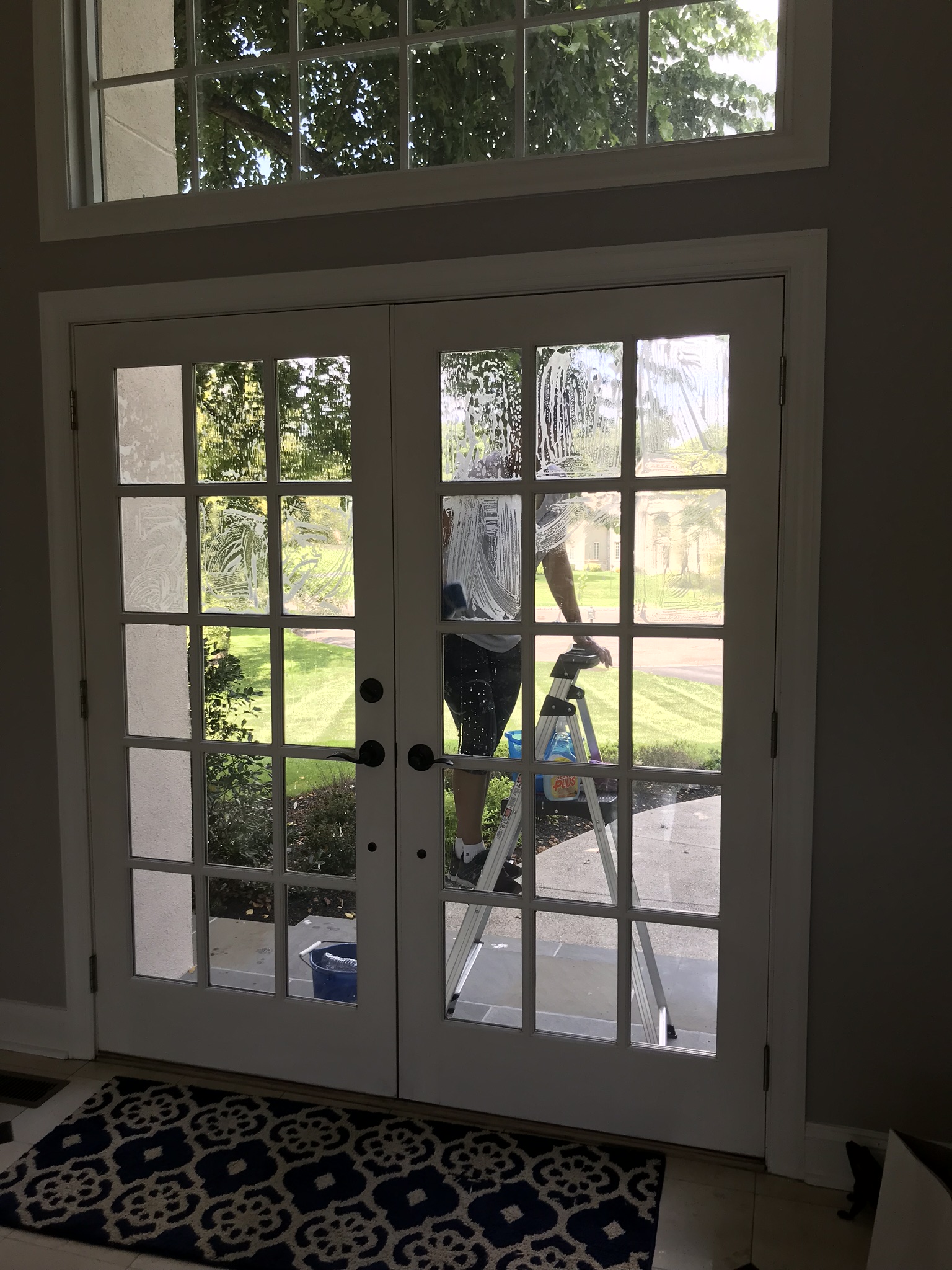 Elaine's cleaning service LLC's Photo