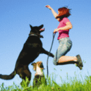 Fetch! Pet Care of NW Bergen County
