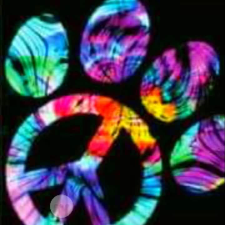 Peaceful Paws Pet Sitting & Grooming Pet Care's Photo