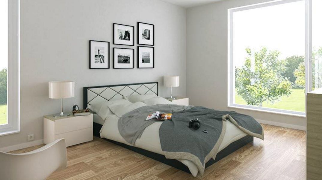 The Clean Dream Service's Photo