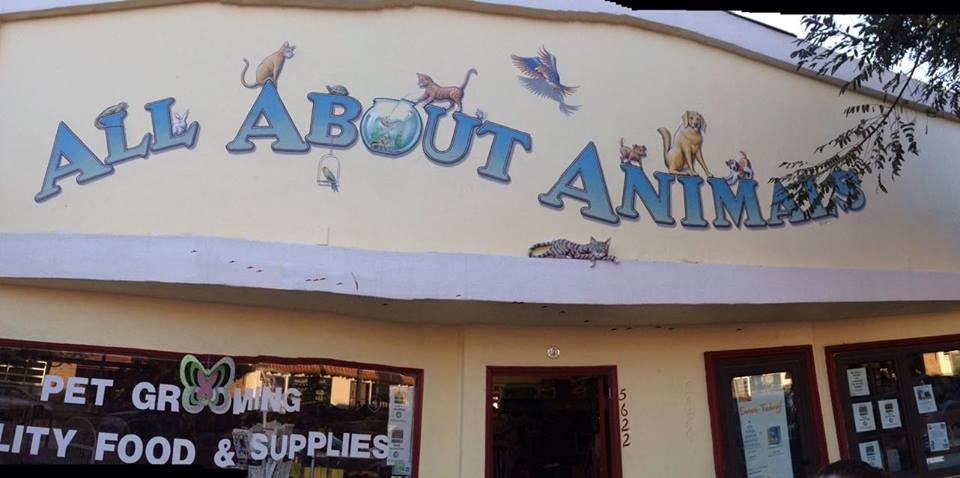 All About Animals's Photo