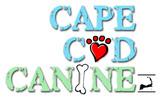 Cape Cod Canine