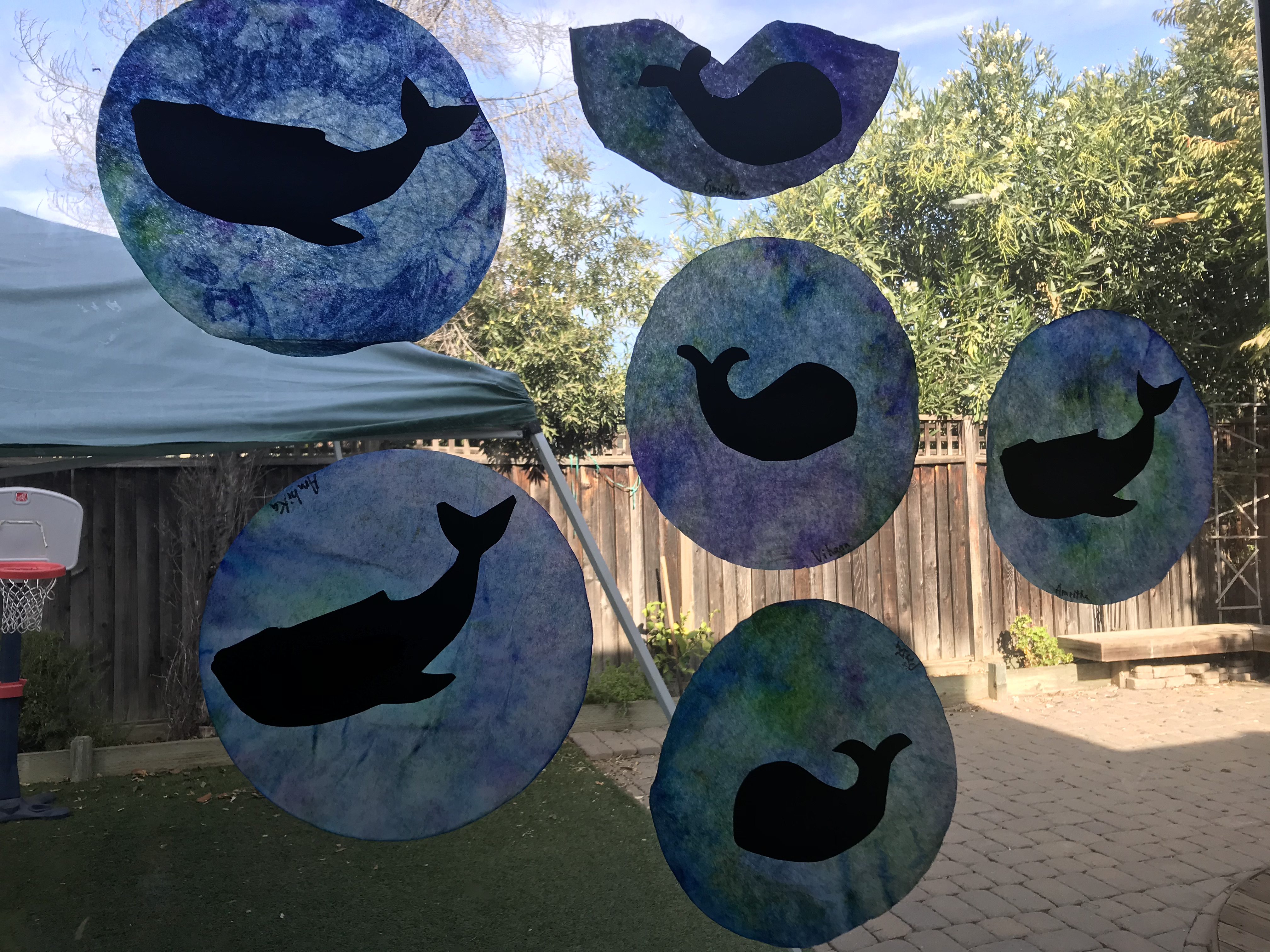 Kindy Winkles's Photo