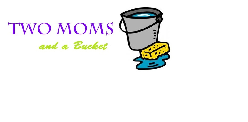 Two Moms & a Bucket's Photo