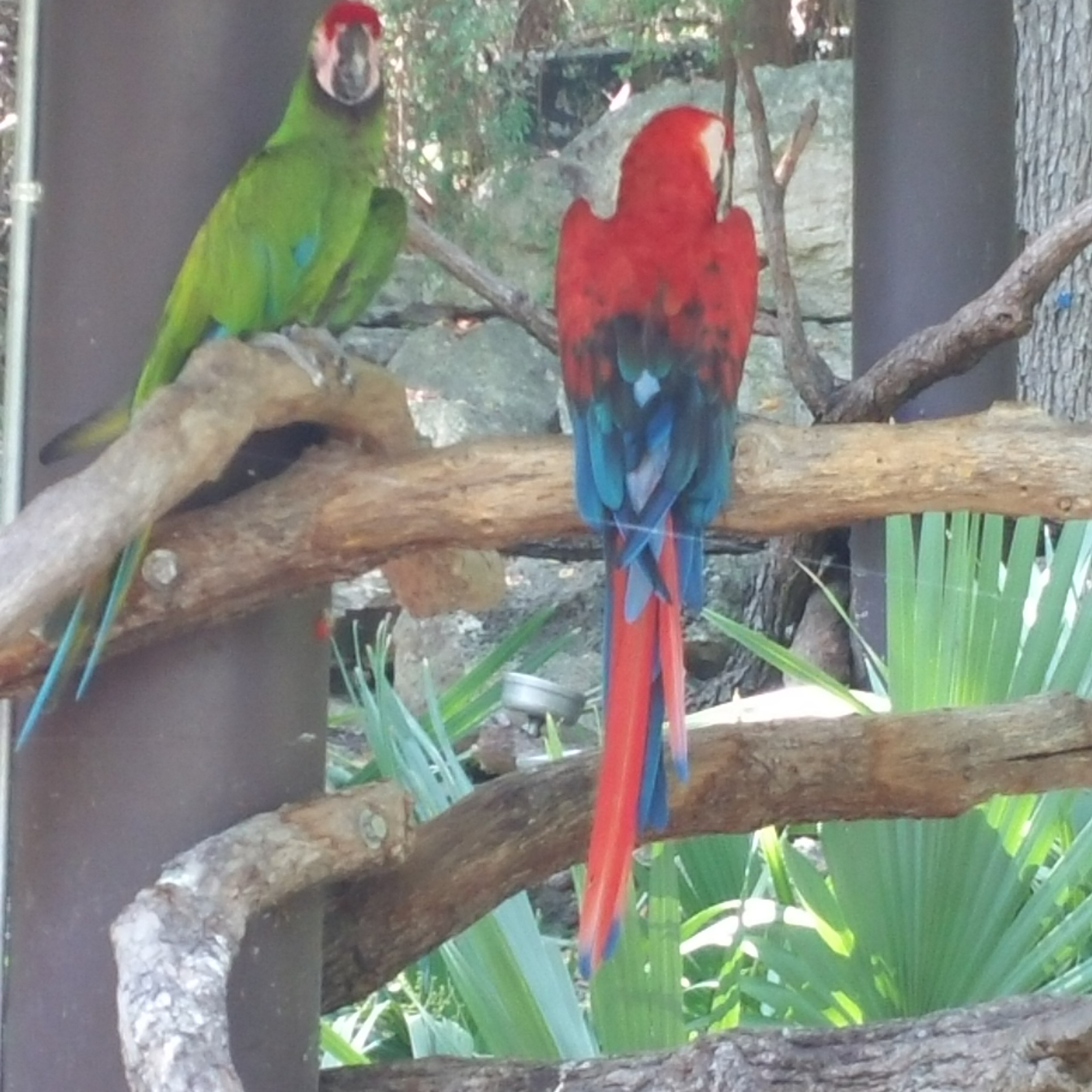 Wishing4 Biscuits's Photo