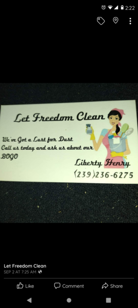 Let Freedom Clean Logo