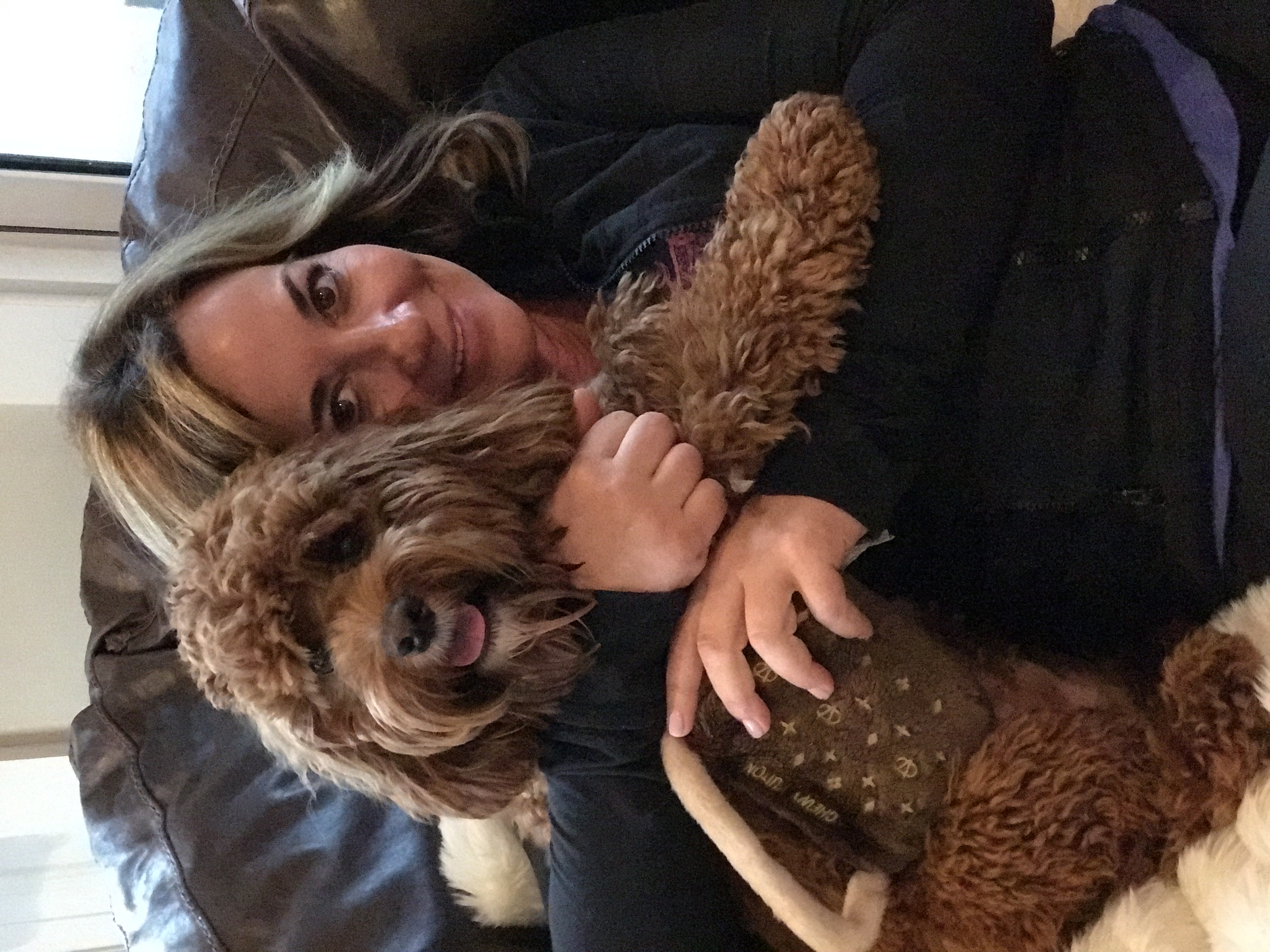 MD Dog Walking, LLC's Photo