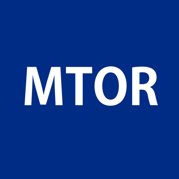 Mtor Logo