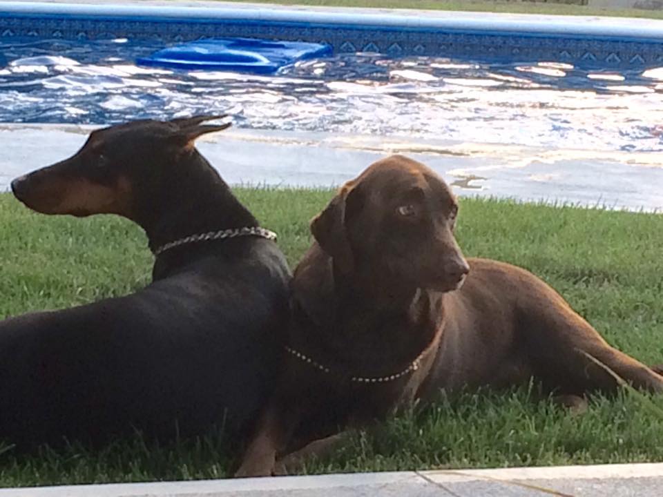 Clara and Isobel Connelly's Photo