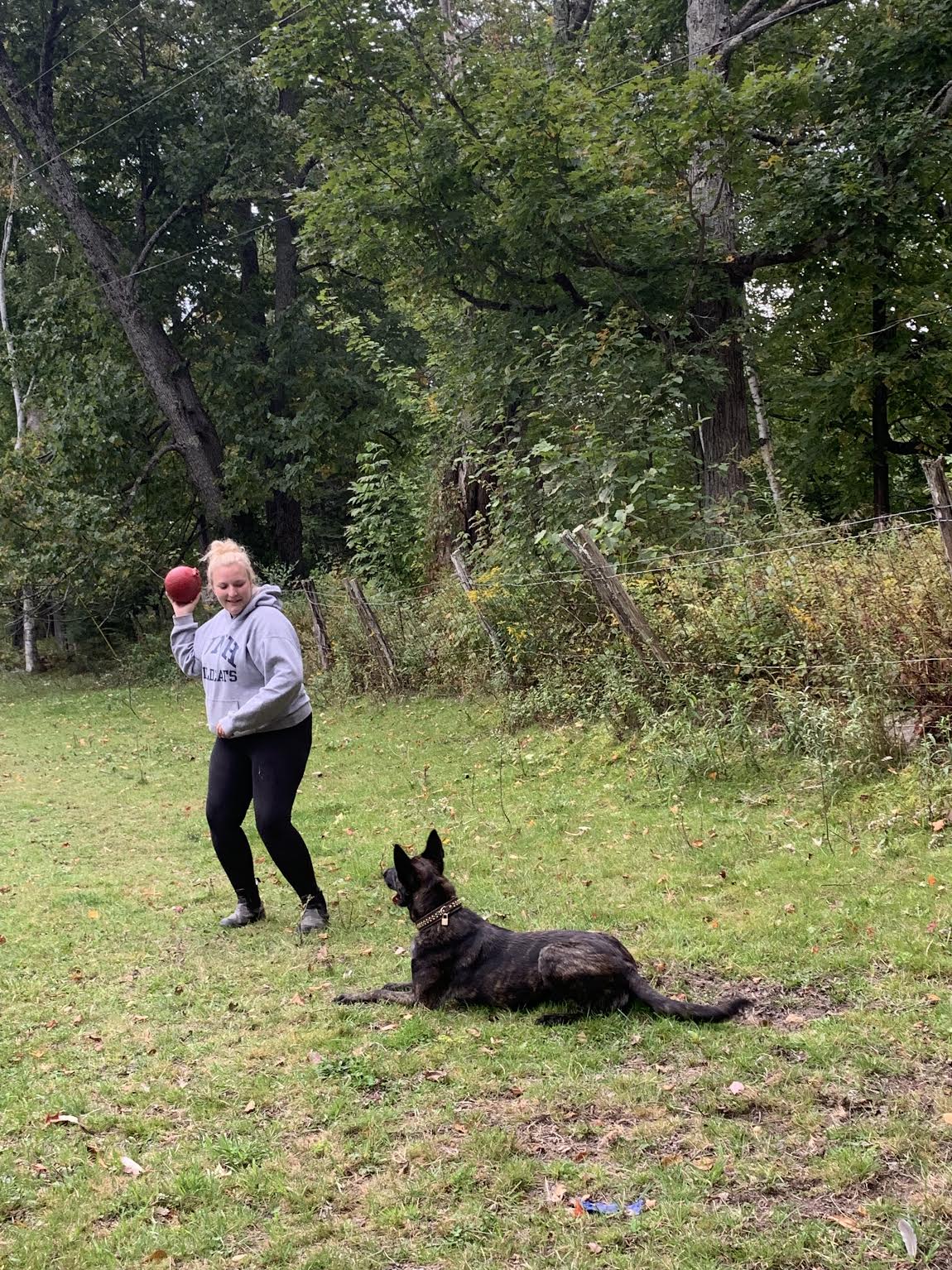 Wag & Whinny, LLC's Photo