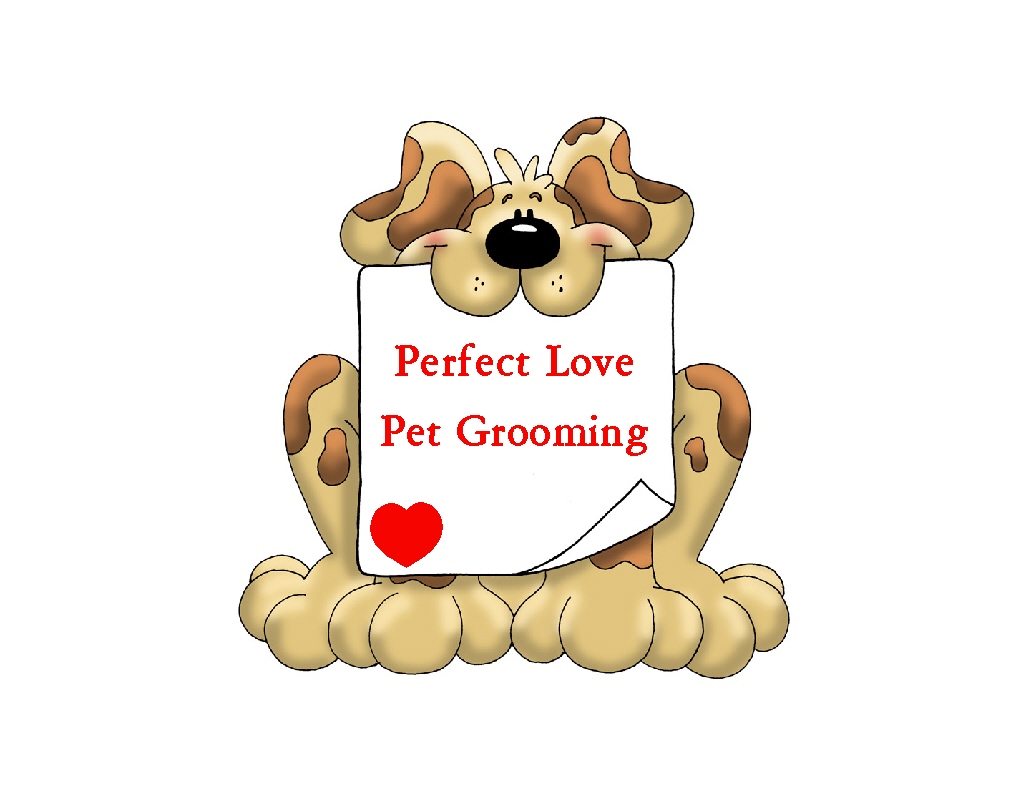 Perfect Love Pet Grooming's Photo