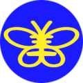 Sunny Children Service