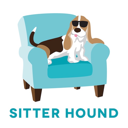 Sitter Hound's Photo