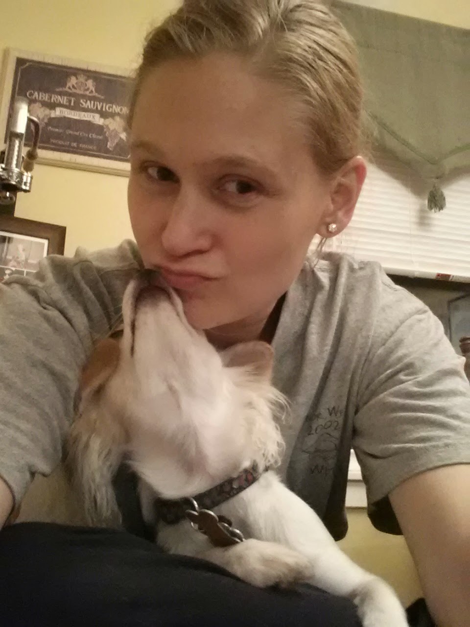 Good Dog! Family Pet Training, LLC's Photo