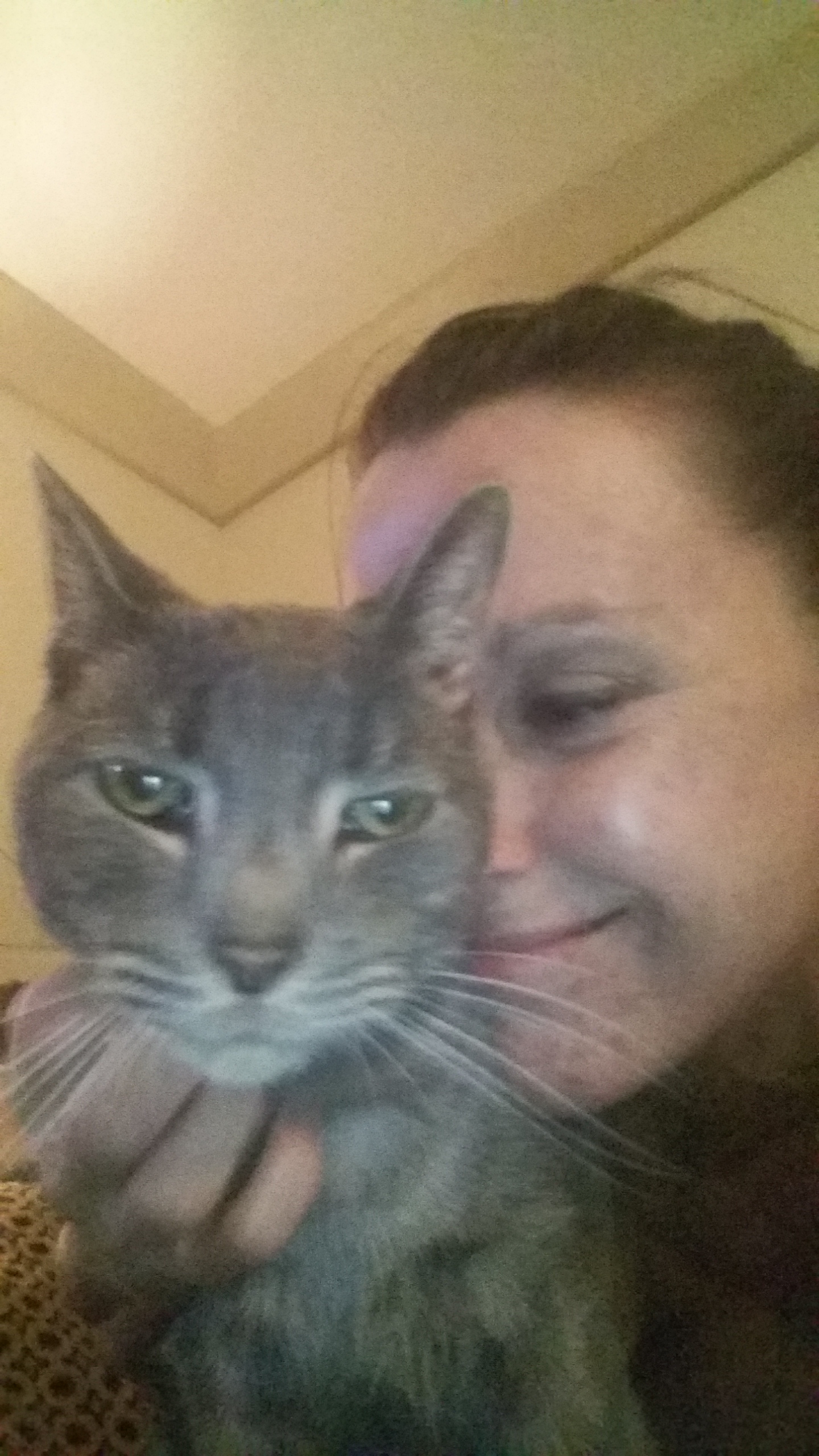 Homeward  Bound Pet Sitting's Photo