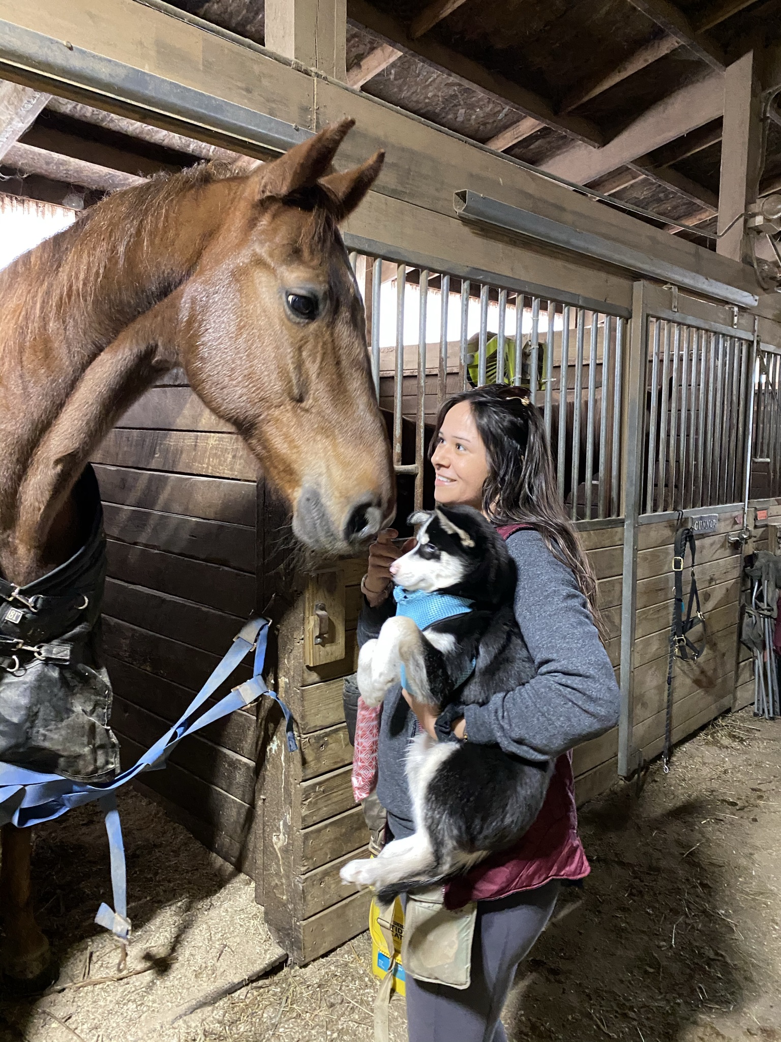 Purrrfessional Woof Whisperer's Photo