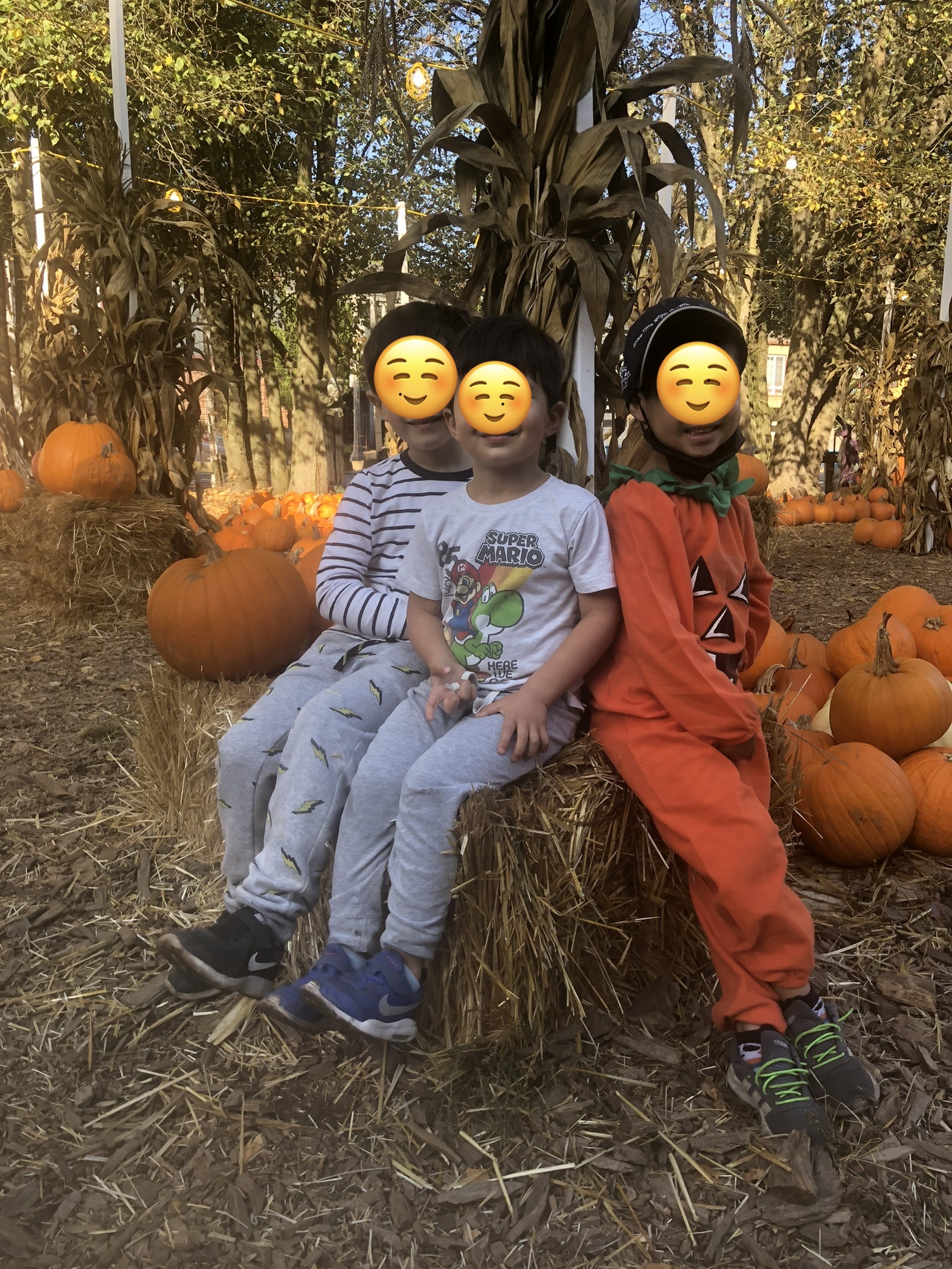 A Star Bridge Mandarin Immersion Preschool and Child Care's Photo