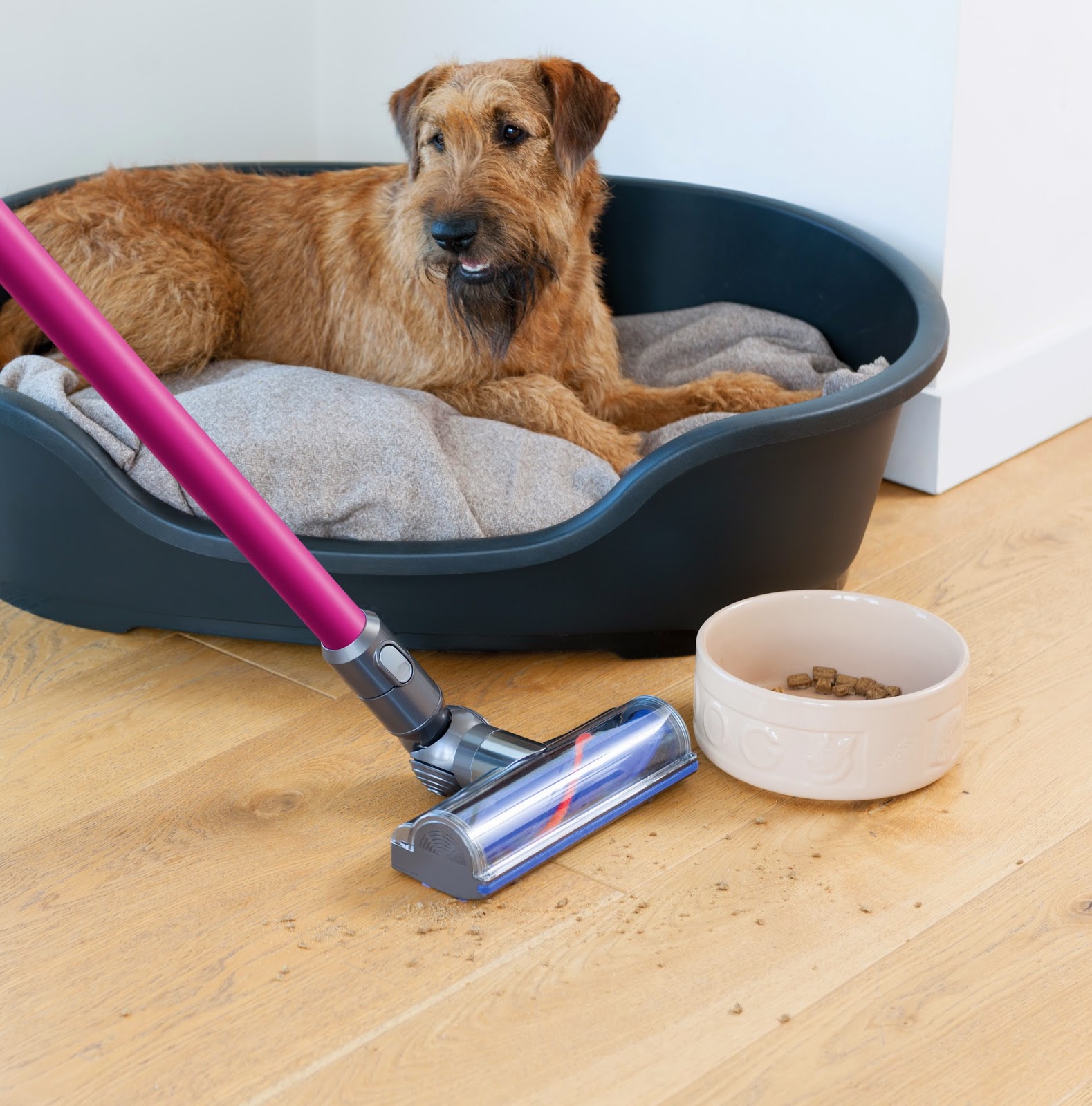 Considerate Clean's Photo