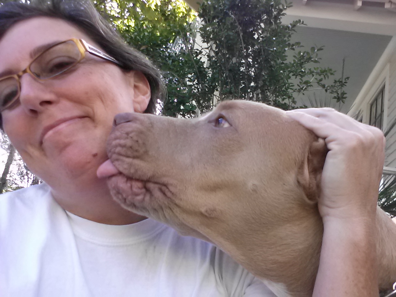 Uptown Girls Pet Services, LLC's Photo