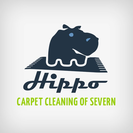 Hippo Carpet Cleaning of Severn