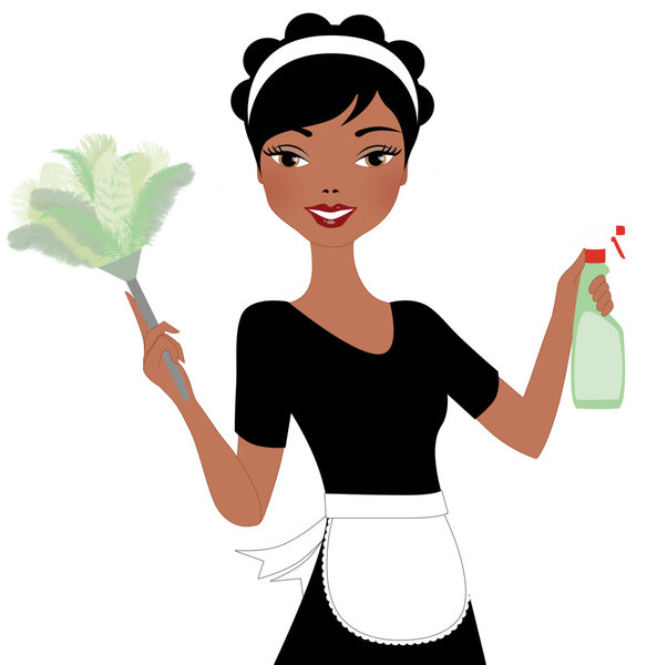 Plush Cleaning Services Logo