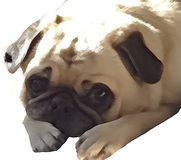 Thumbnail 0