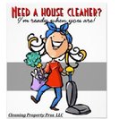 Cleaning Property Pros