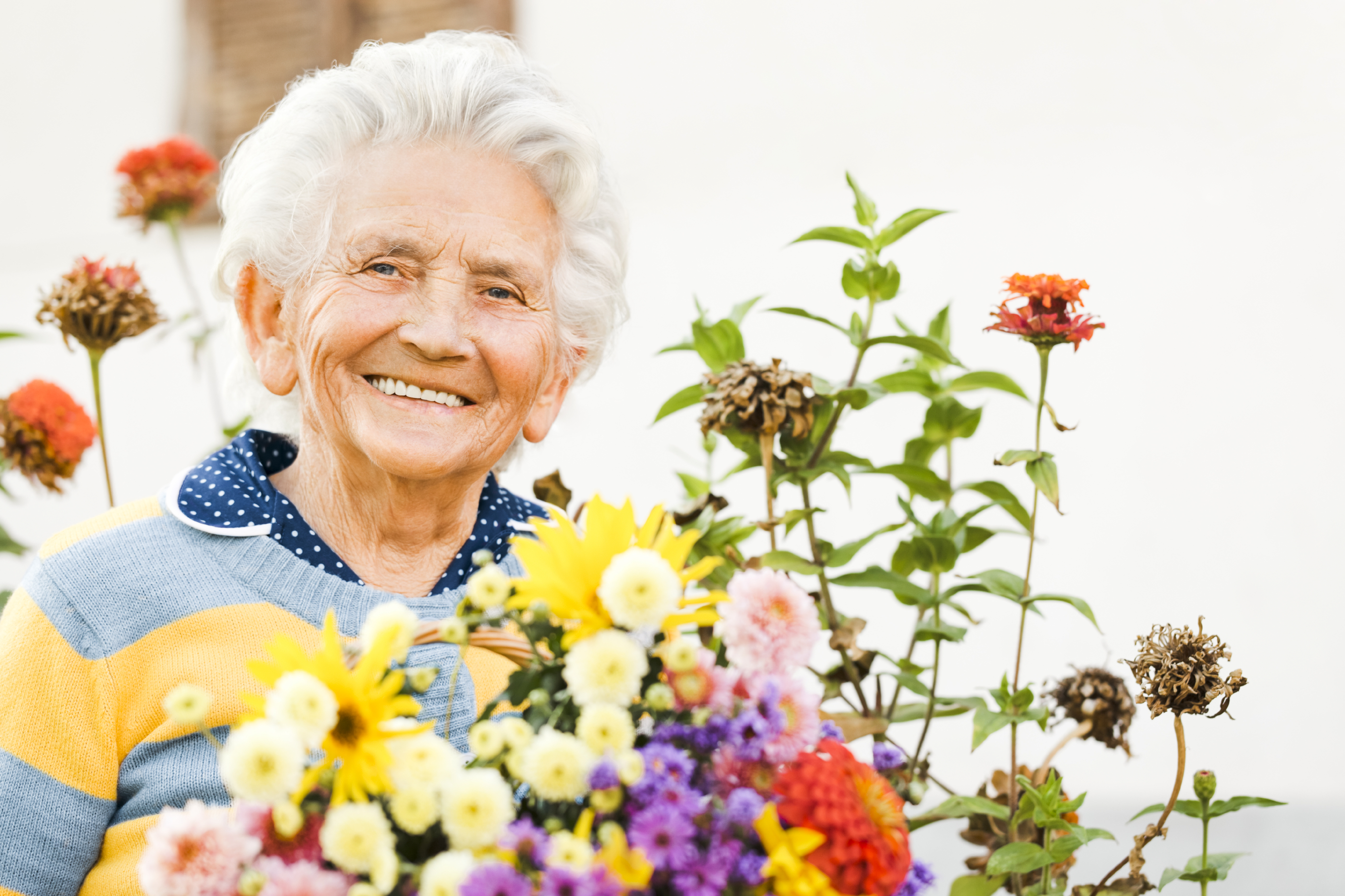 Photo gallery image - 2