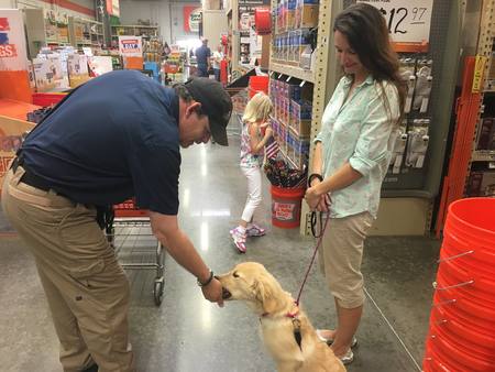 The Language of Canines, LLC Dog Training's Photo