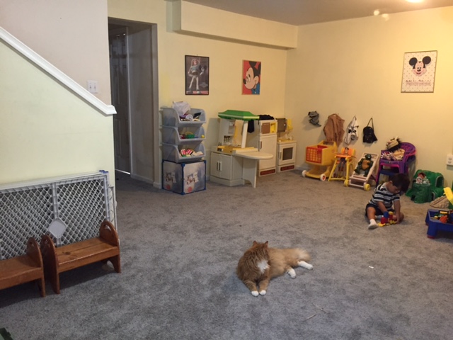 Mlg Daycare's Photo
