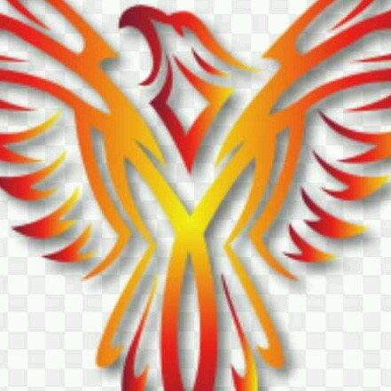 Phoenix Power Clean Logo
