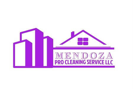 MENDOZA PRO CLEANING SERVICE LLC