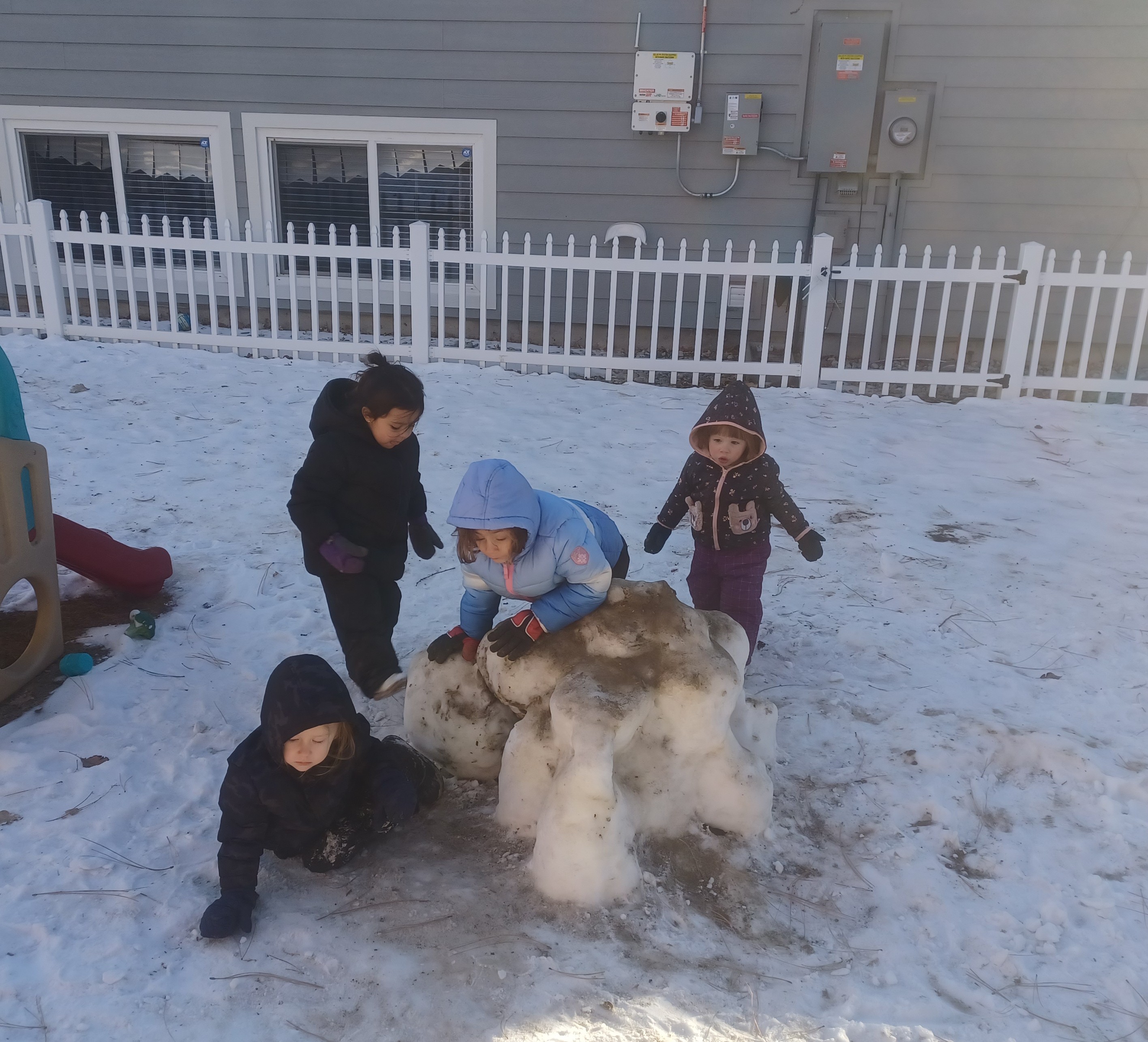 Wonderland Project Llc's Photo