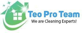 Teo Cleaning Logo