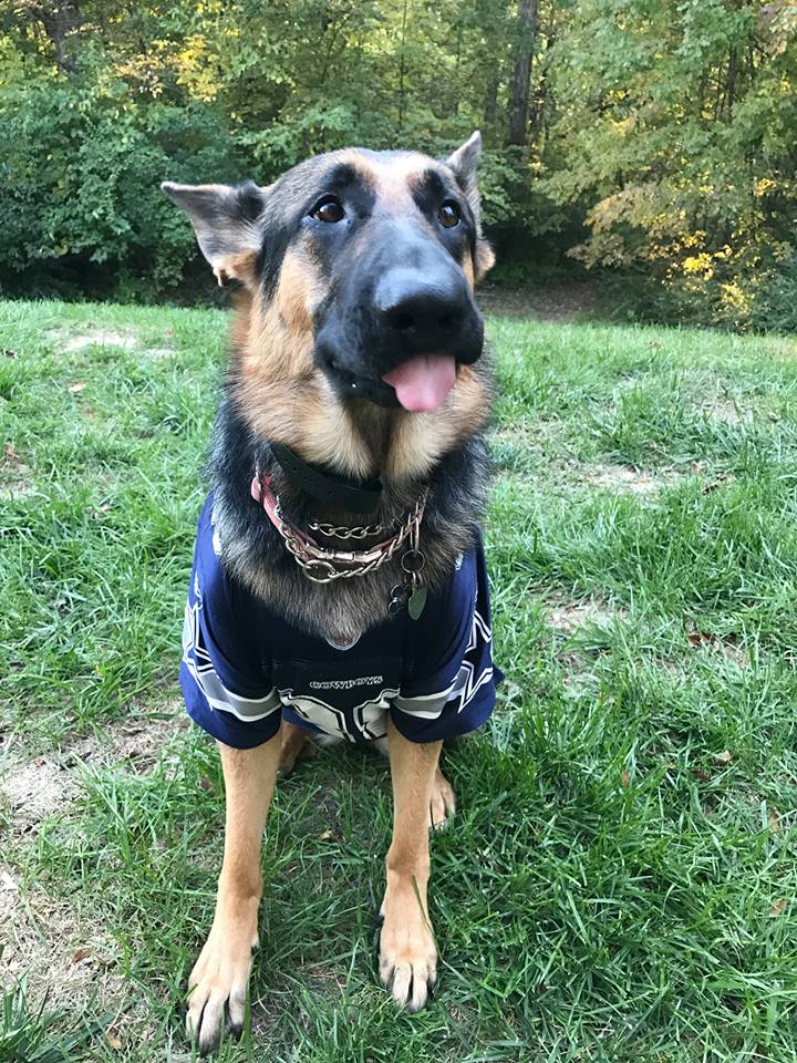 Paws2Feathers Pet Care, LLC's Photo