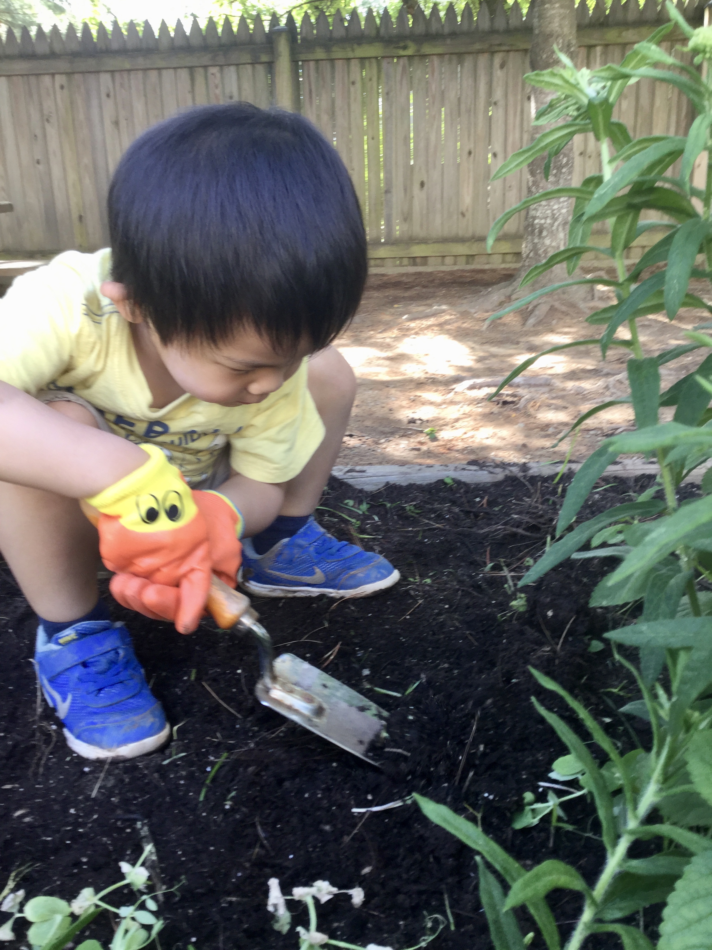 Franklin Montessori Schools's Photo