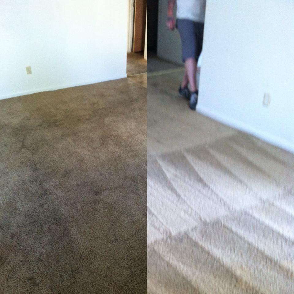 Wicked Clean LLC's Photo