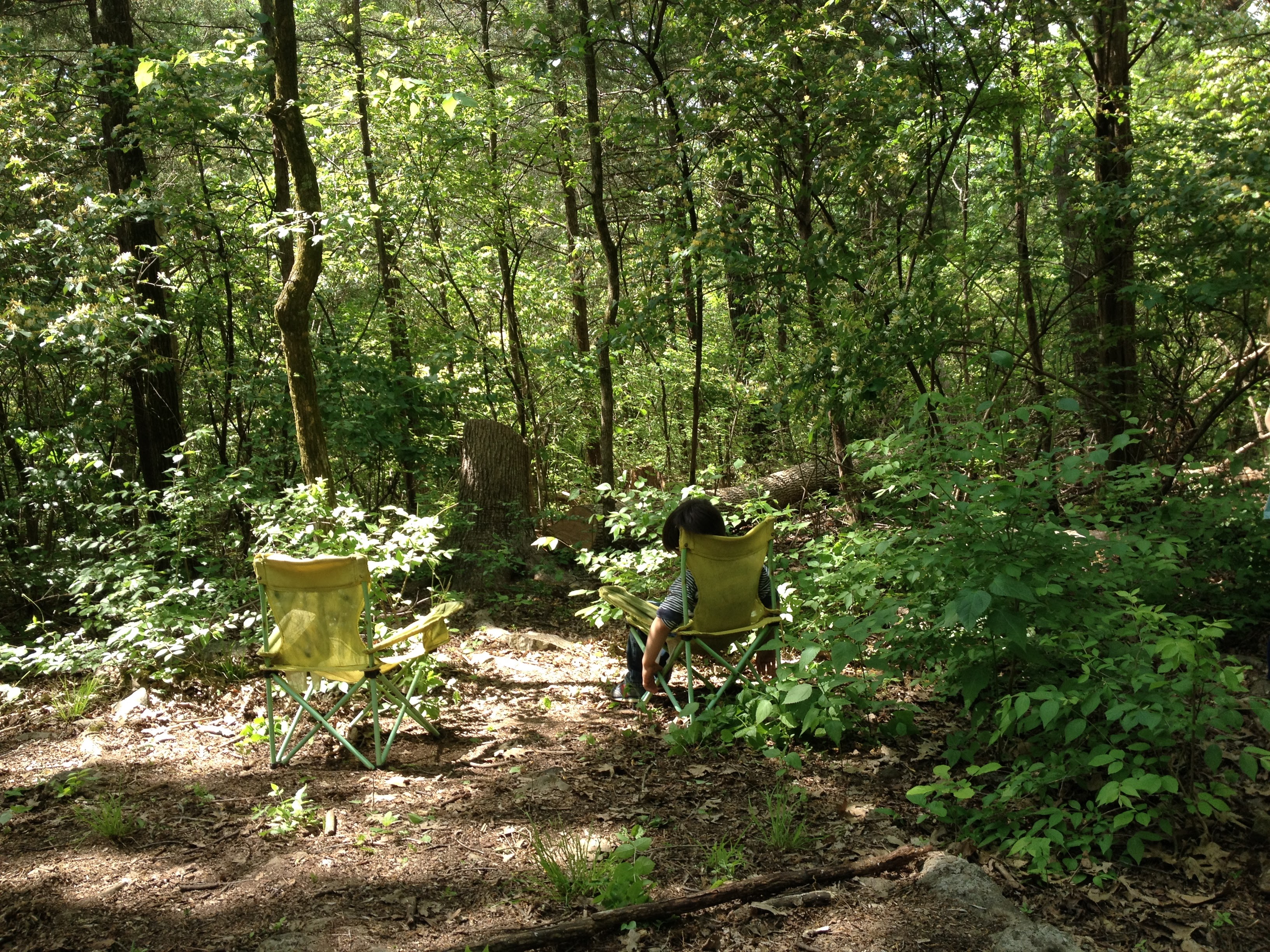 A New Leaf Nashville's Photo