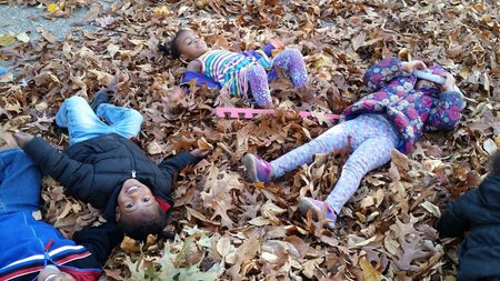 Learning Ladder Daycare