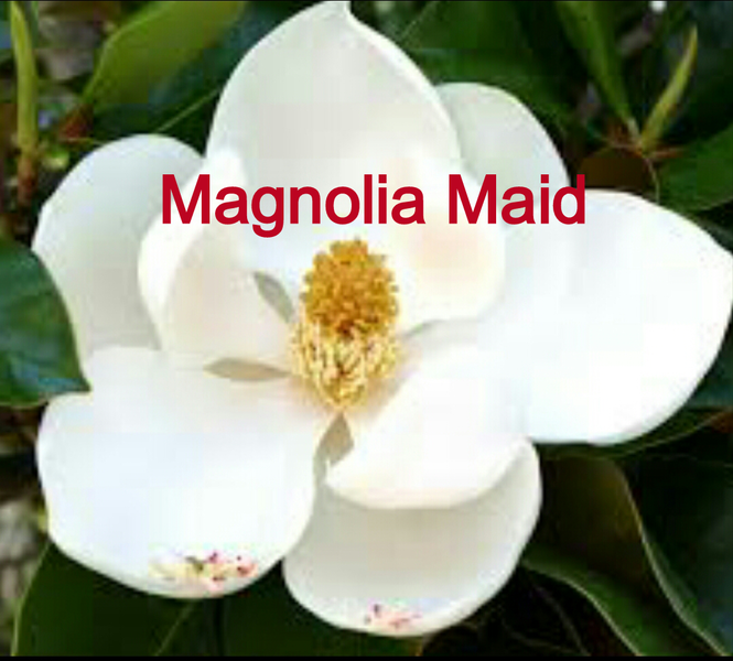 Magnolia Maid Service's Photo