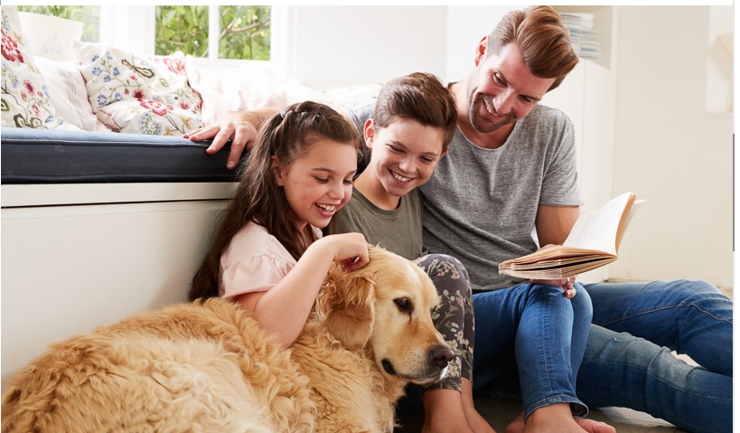 Simply Crystal Clean's Photo